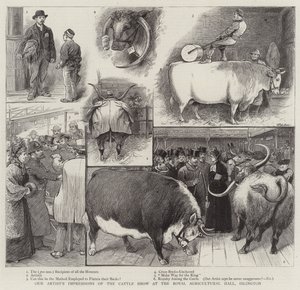 Taiteilijamme vaikutelmia karjanäyttelystä Royal Agricultural Hallissa Islingtonissa